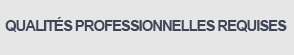 Requisiti Professionali
